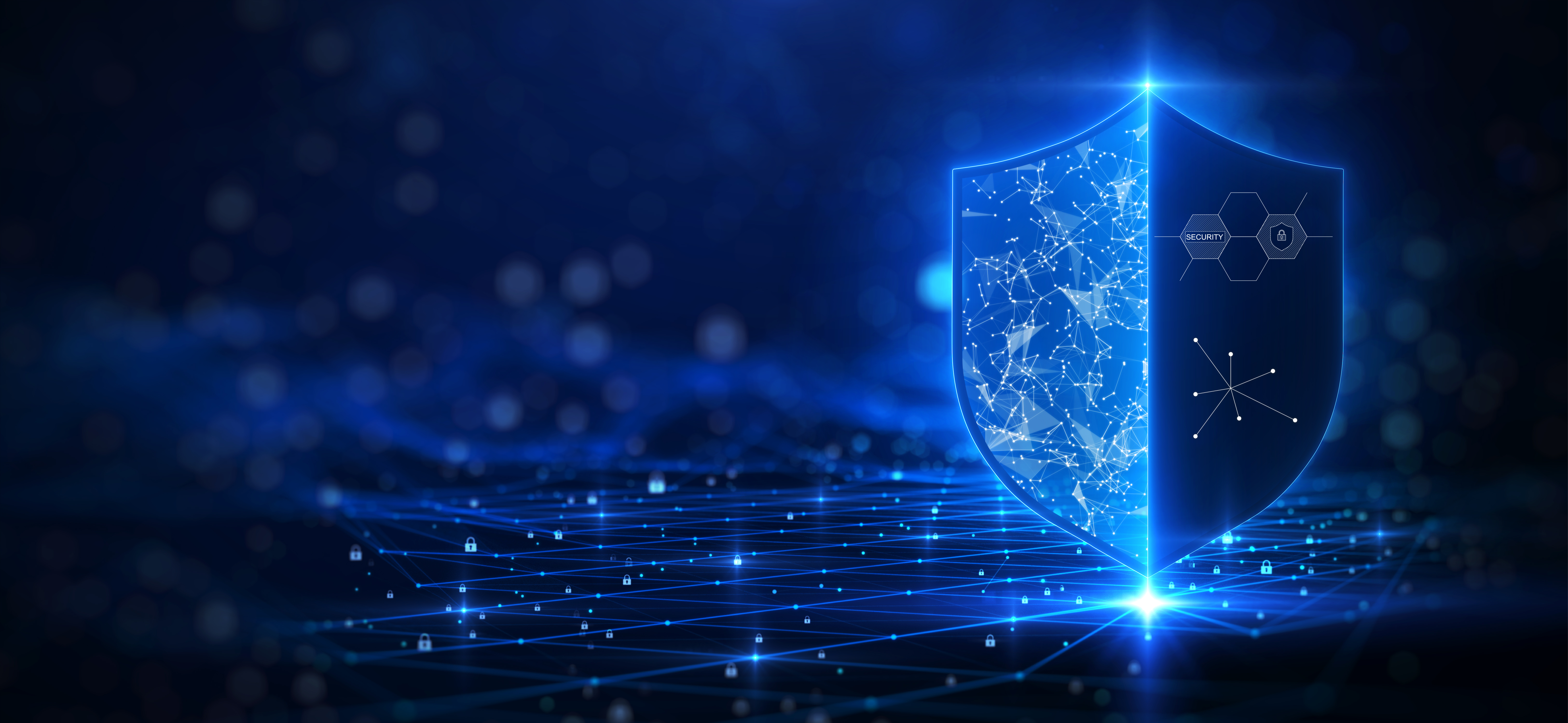 Network Security